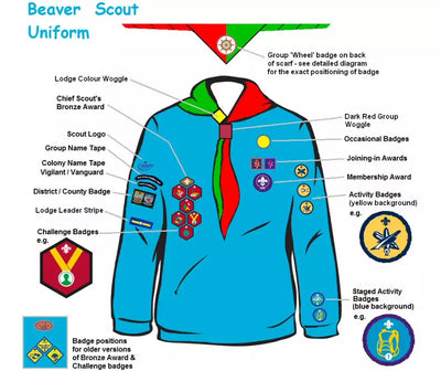 Where do The Scout Badges Go