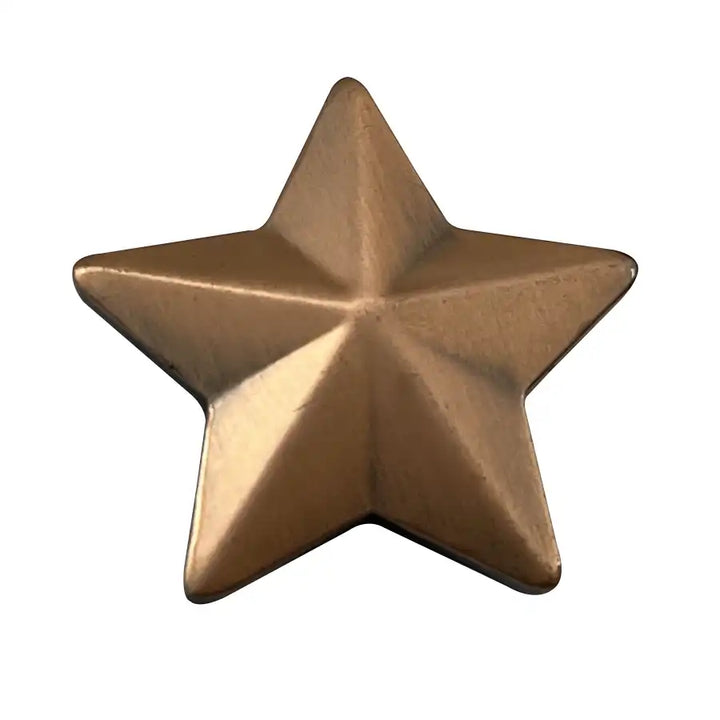 3D Star Pin Badge